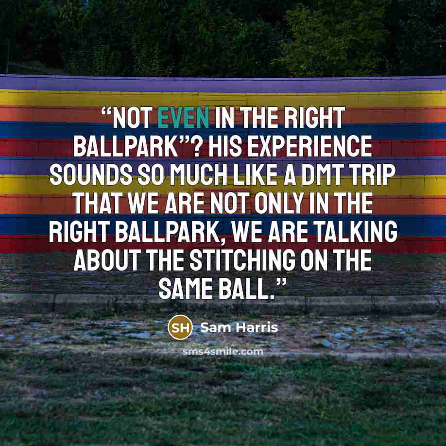 “Not even in the right ballpark”? His experience sounds so much like a DMT trip that we are not only in the right ballpark, we are talking about the stitching on the same ball.” quote by Sam Harris