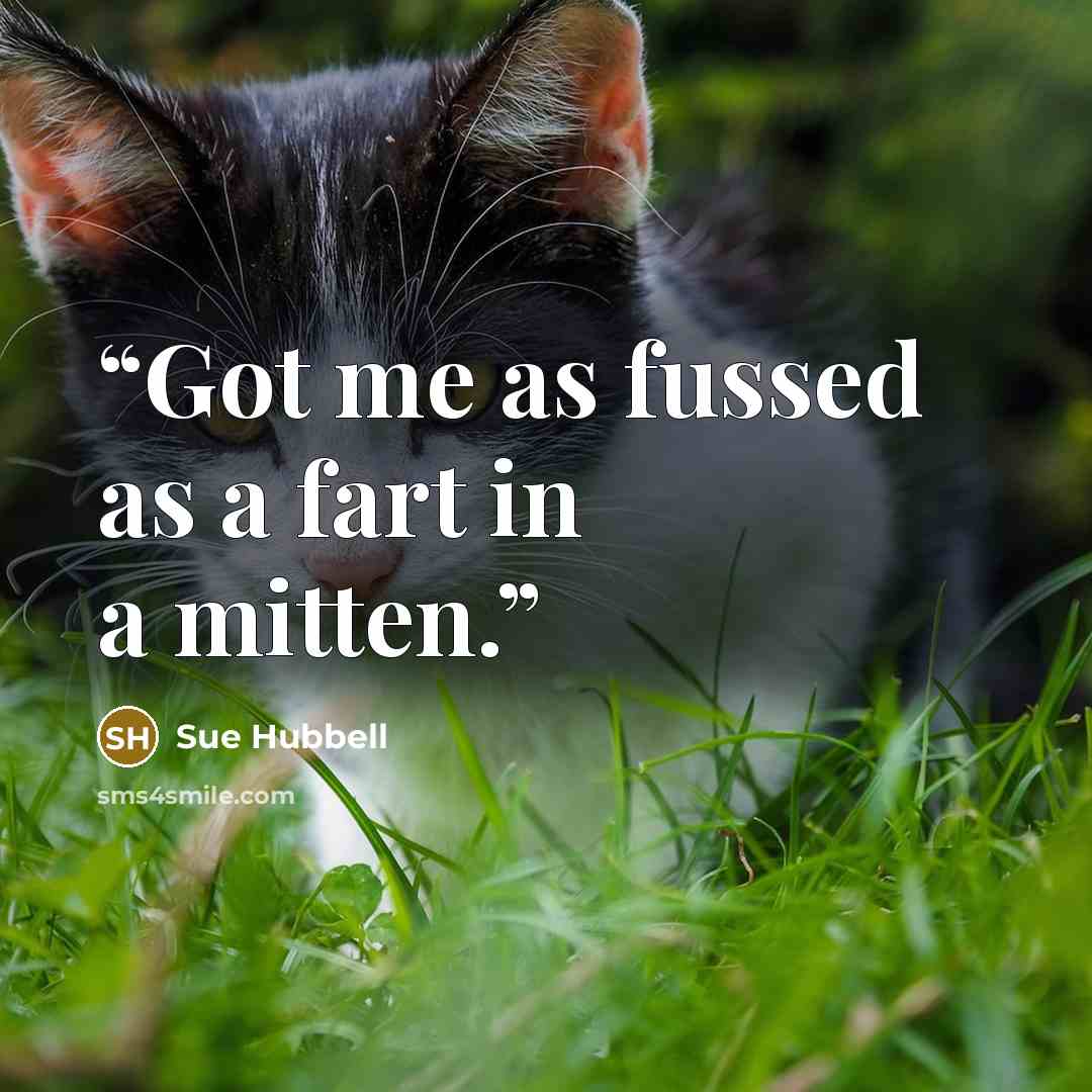 “Got me as fussed as a fart in a mitten.” quote by Sue Hubbell