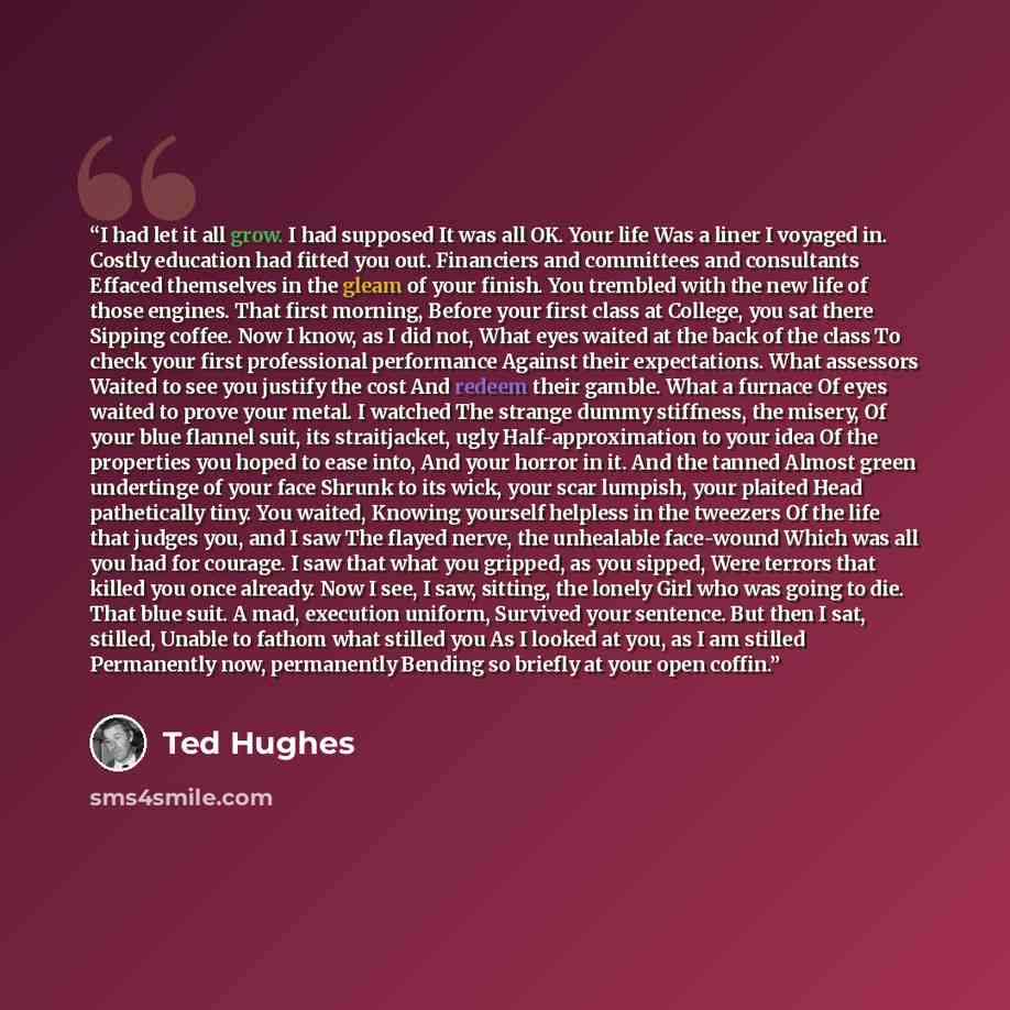 “I had let it all grow. I had supposed It was all OK. Your life Was a liner I voyaged in. Costly education had fitted you out. Financiers and committees and consultants Effaced themselves in the gleam of your finish. You trembled with the new life of those engines. That first morning, Before your…” quote by Ted Hughes