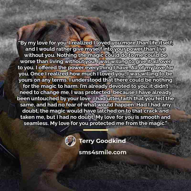 “By my love for you. I realized I loved you more than life itself, and I would rather give myself into your power than live without you. Nothing the magic could do to me could be worse than living without you. I was willing to give it all over to you. I offered the power everything I have. All of…” quote by Terry Goodkind