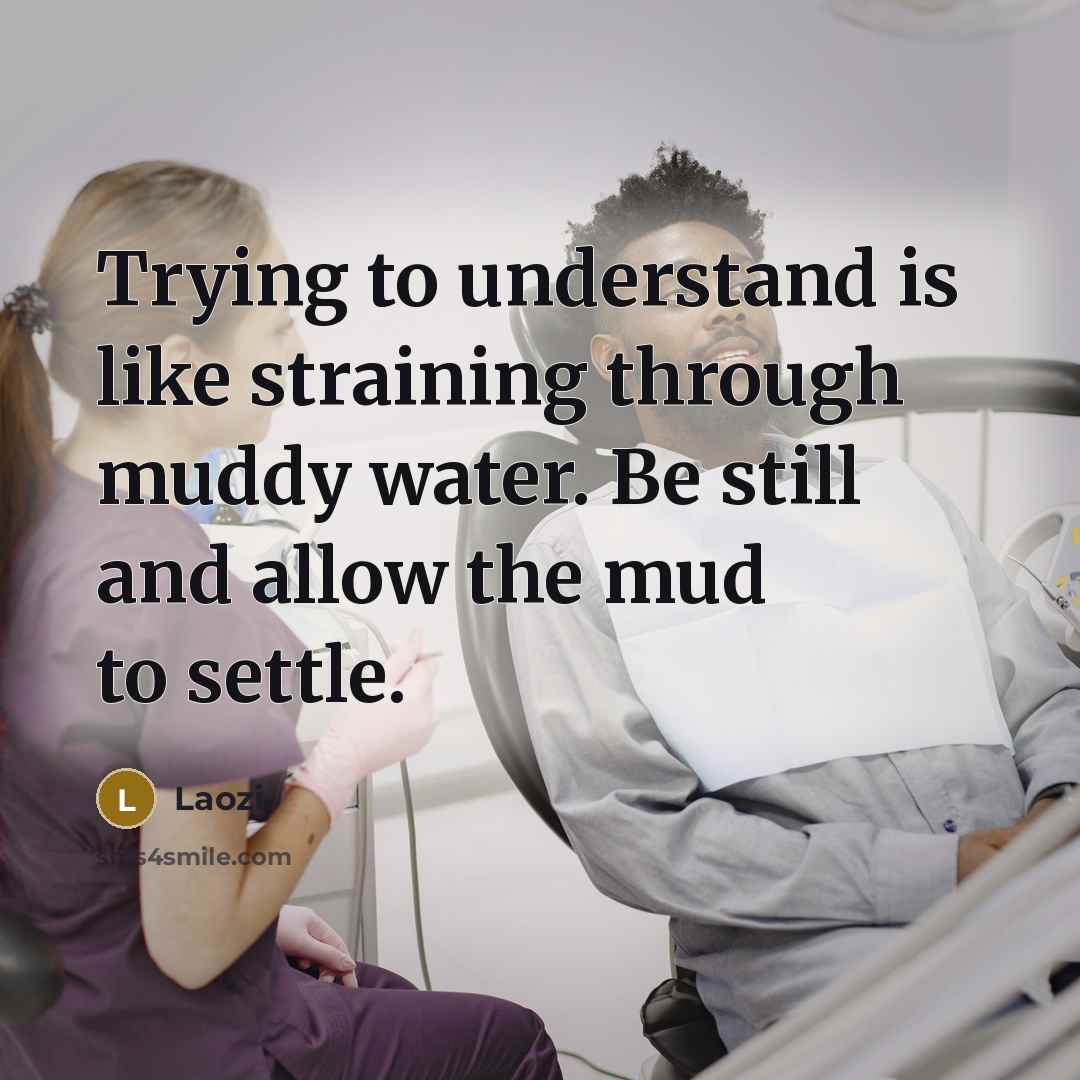 “Trying to understand is like straining through muddy water. Be still and allow the mud to settle.” quote by Laozi