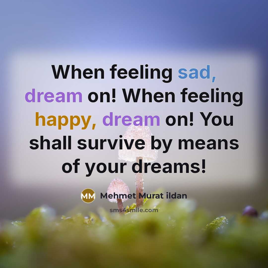 “When feeling sad, dream on! When feeling happy, dream on! You shall survive by means of your dreams!” quote by Mehmet Murat Ildan