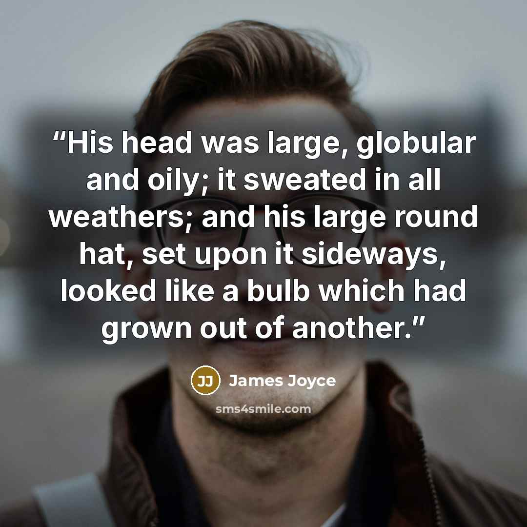 “His head was large, globular and oily; it sweated in all weathers; and his large round hat, set upon it sideways, looked like a bulb which had grown out of another.” quote by James Joyce