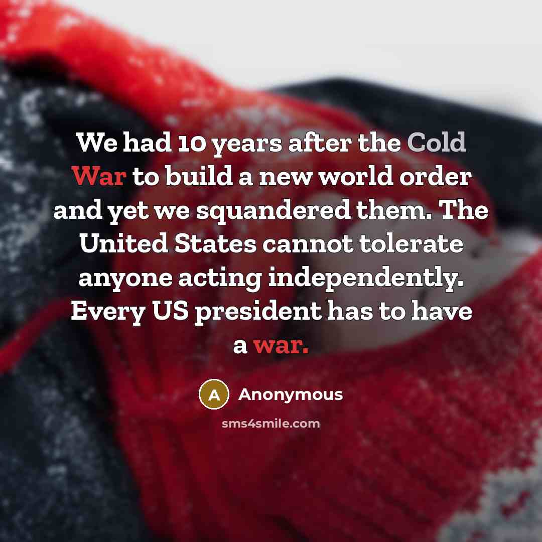 “We had 10 years after the Cold War to build a new world order and yet we squandered them. The United States cannot tolerate anyone acting independently. Every US president has to have a war.” quote by Anonymous