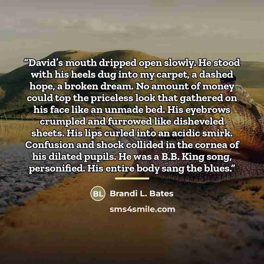“David’s mouth dripped open slowly. He stood with his heels dug into my carpet, a dashed hope, a broken dream. No amount of money could top the priceless look that gathered on his face like an unmade bed. His eyebrows crumpled and furrowed like disheveled sheets. His lips curled into an acidic…” quote by Brandi L. Bates