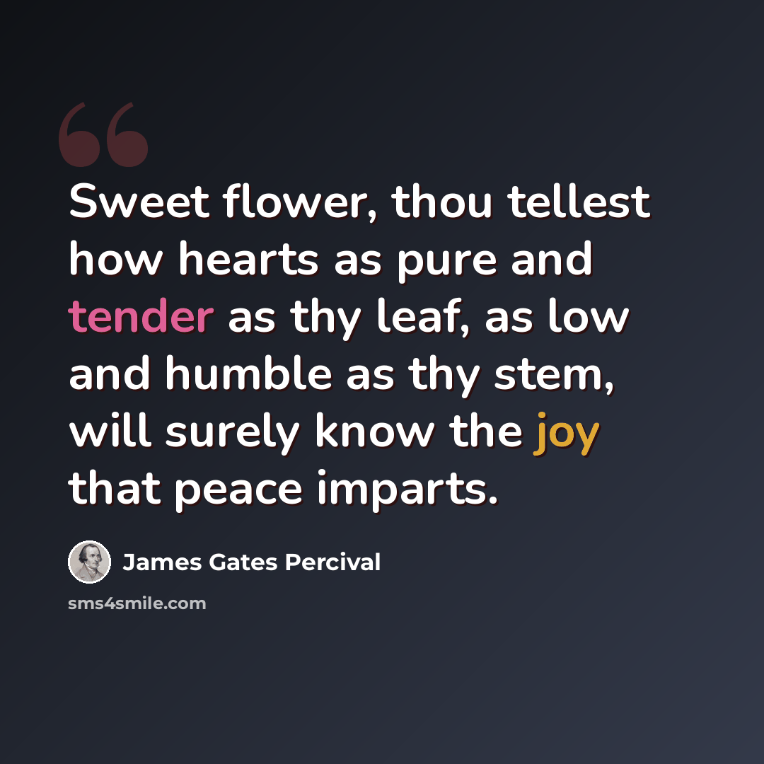 “Sweet flower, thou tellest how hearts as pure and tender as thy leaf, as low and humble as thy stem, will surely know the joy that peace imparts.” quote by James Gates Percival