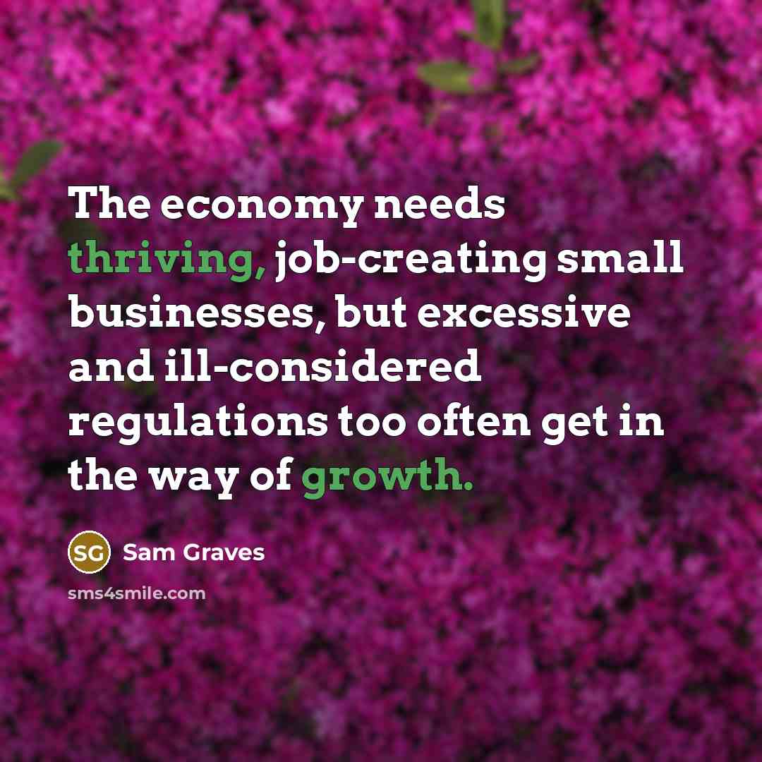 “The economy needs thriving, job-creating small businesses, but excessive and ill-considered regulations too often get in the way of growth.” quote by Sam Graves
