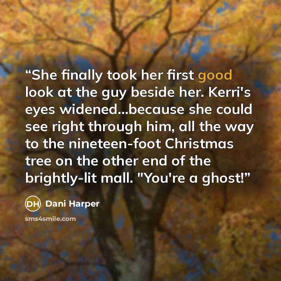 “She finally took her first good look at the guy beside her. Kerri's eyes widened...because she could see right through him, all the way to the nineteen-foot Christmas tree on the other end of the brightly-lit mall. "You're a ghost!” quote by Dani Harper