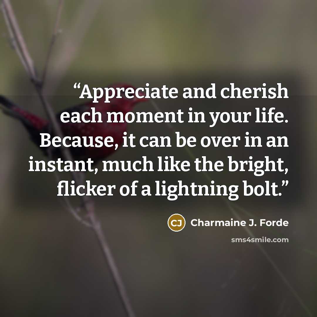 “Appreciate and cherish each moment in your life. Because, it can be over in an instant, much like the bright, flicker of a lightning bolt.” quote by Charmaine J. Forde