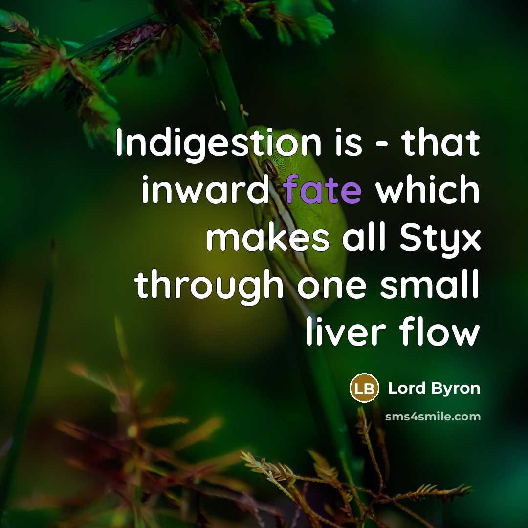 “Indigestion is - that inward fate which makes all Styx through one small liver flow” quote by Lord Byron