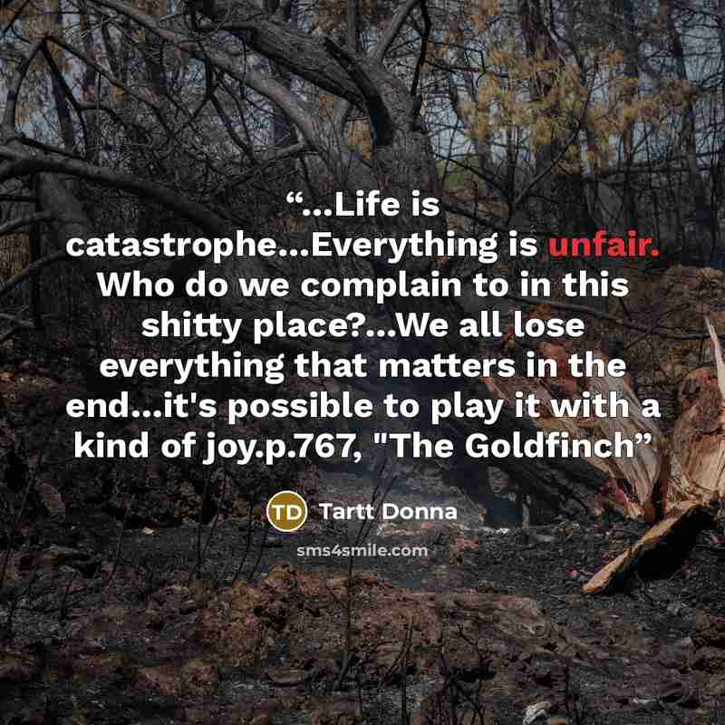 “…Life is catastrophe…Everything is unfair. Who do we complain to in this shitty place?…We all lose everything that matters in the end…it's possible to play it with a kind of joy.p.767, "The Goldfinch” quote by Tartt Donna