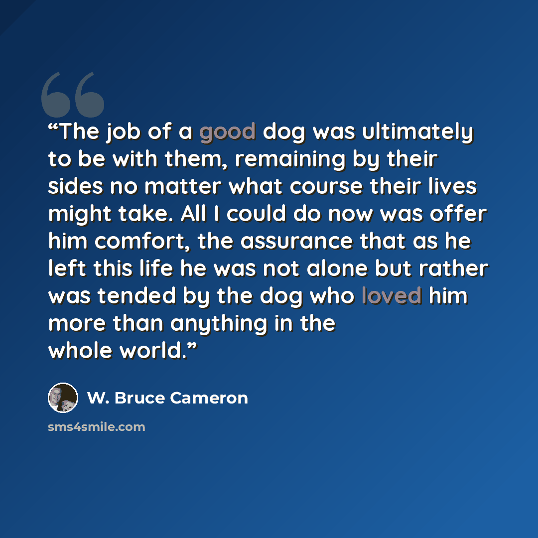 “The job of a good dog was ultimately to be with them, remaining by their sides no matter what course their lives might take. All I could do now was offer him comfort, the assurance that as he left this life he was not alone but rather was tended by the dog who loved him more than anything in the…” quote by W. Bruce Cameron