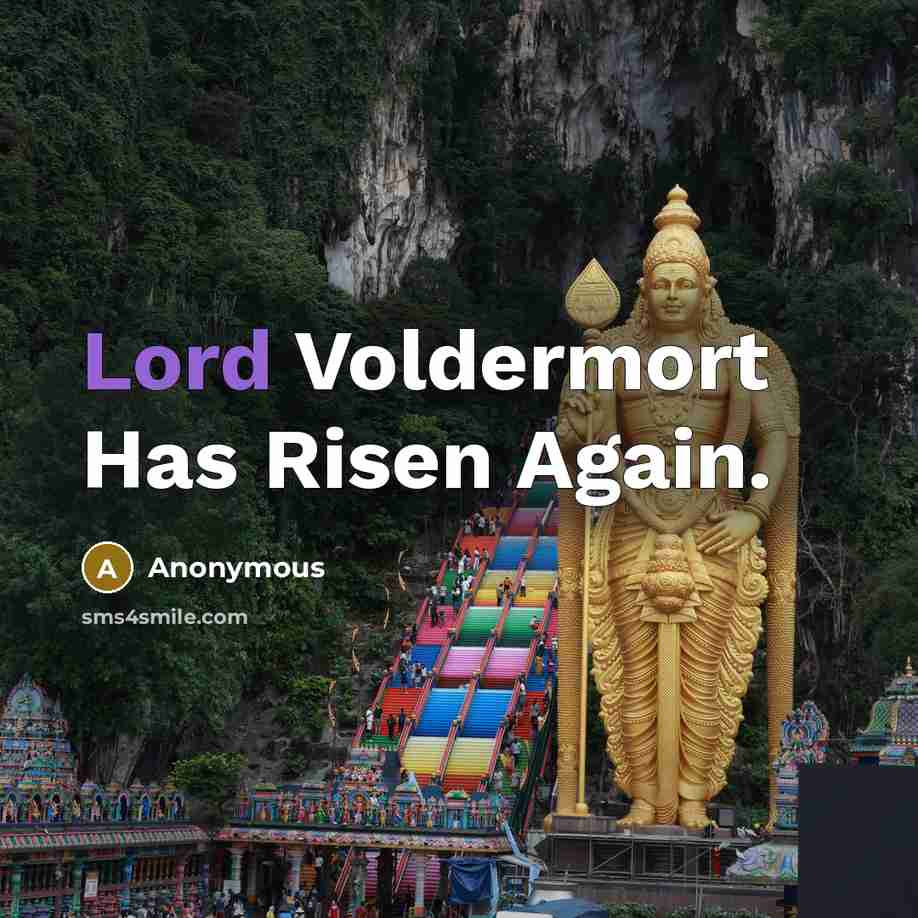 “Lord Voldermort Has Risen Again.” quote by Anonymous