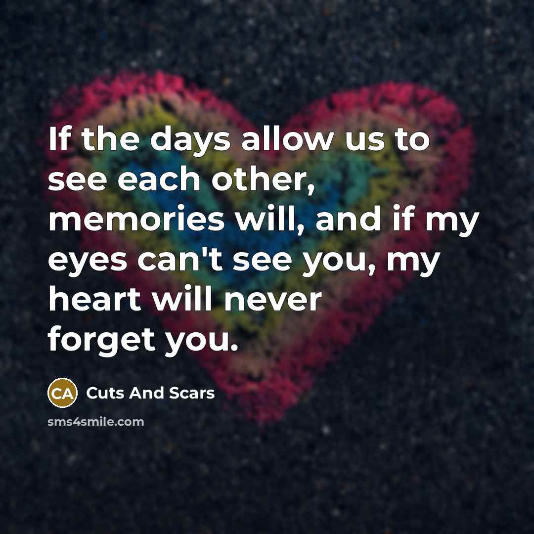 “If the days allow us to see each other, memories will, and if my eyes can't see you, my heart will never forget you.” quote by Cuts And Scars