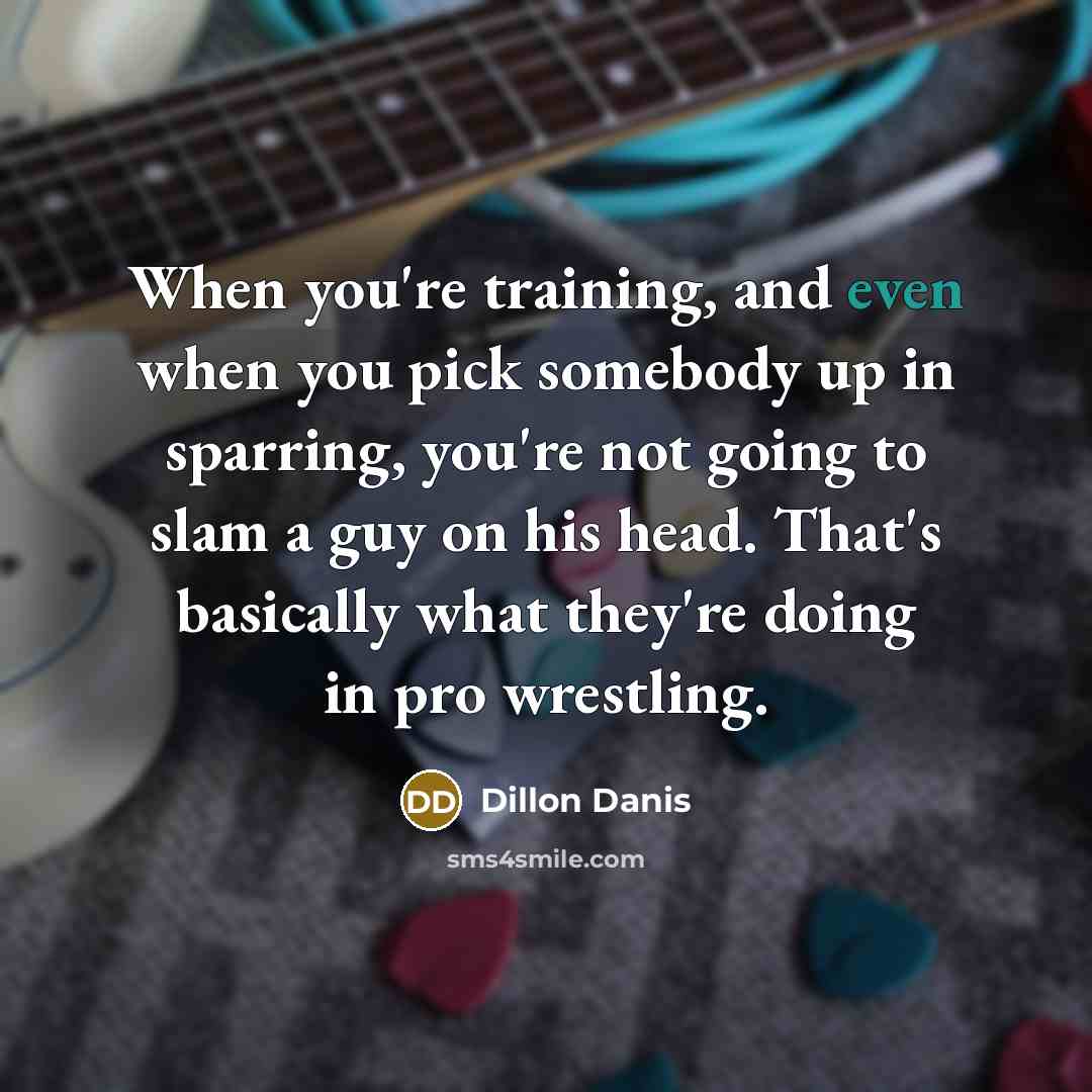 “When you're training, and even when you pick somebody up in sparring, you're not going to slam a guy on his head. That's basically what they're doing in pro wrestling.” quote by Dillon Danis