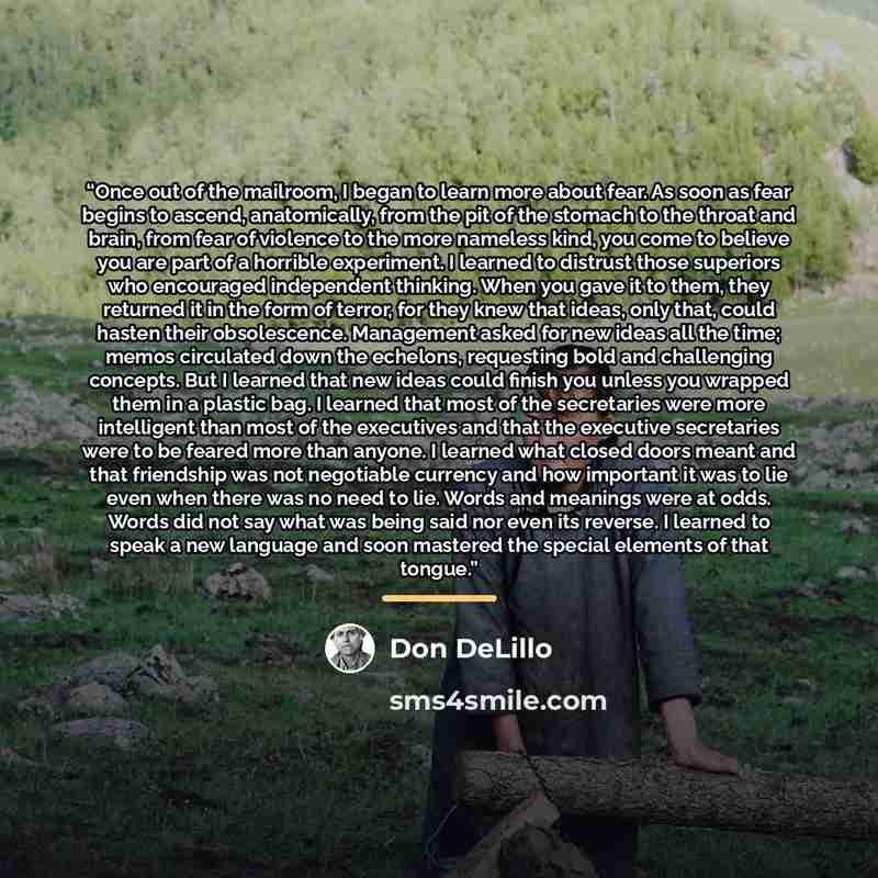 “Once out of the mailroom, I began to learn more about fear. As soon as fear begins to ascend, anatomically, from the pit of the stomach to the throat and brain, from fear of violence to the more nameless kind, you come to believe you are part of a horrible experiment. I learned to distrust those…” quote by Don DeLillo