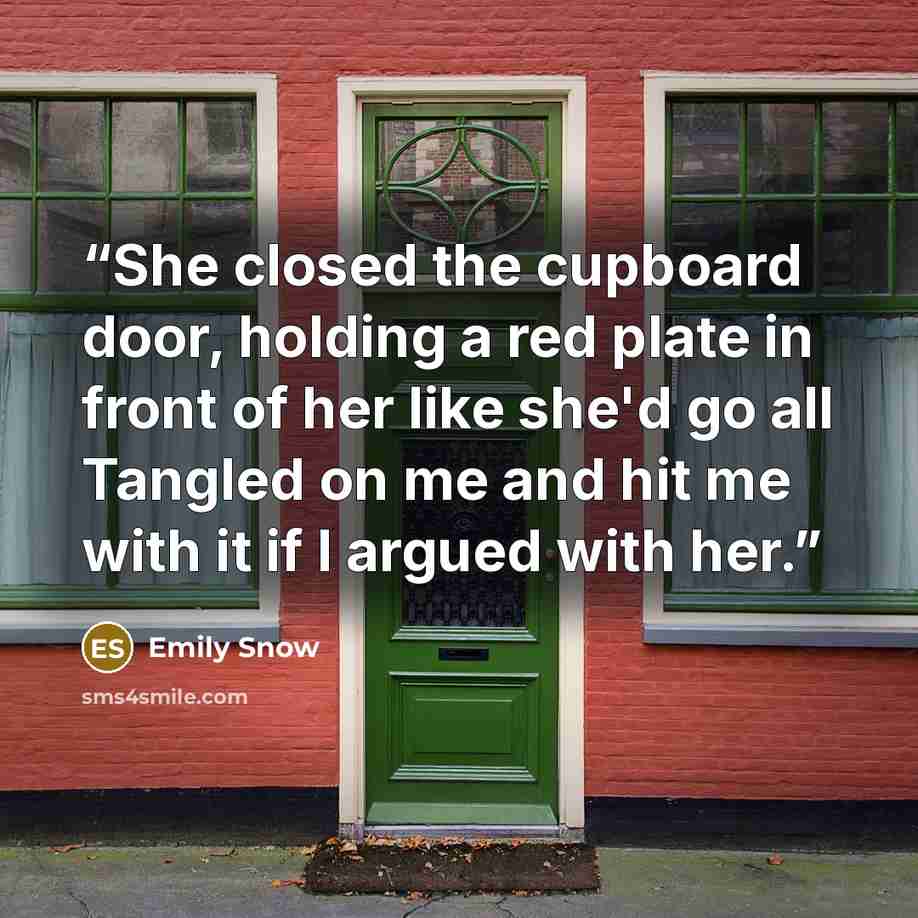 “She closed the cupboard door, holding a red plate in front of her like she'd go all Tangled on me and hit me with it if I argued with her.” quote by Emily Snow