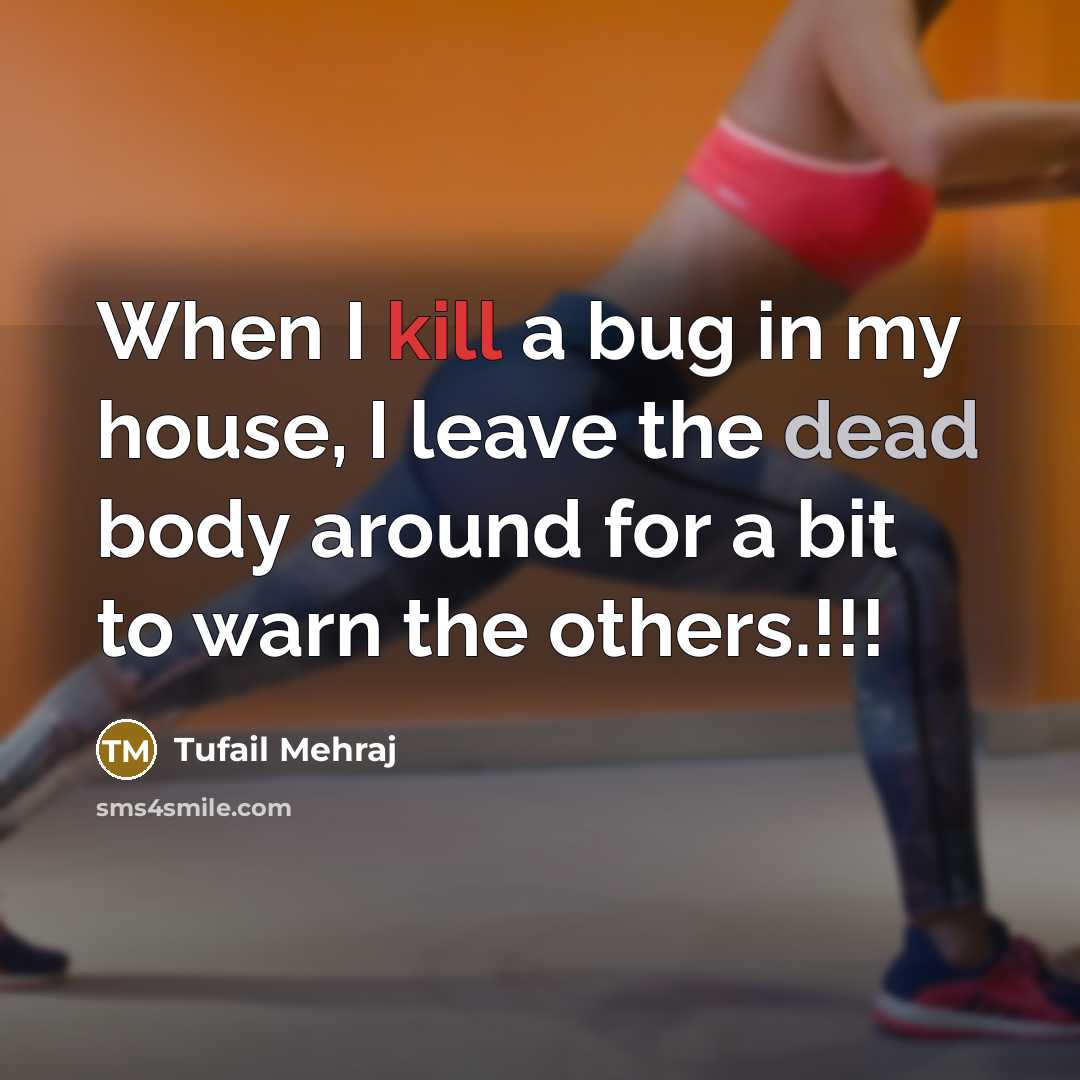 “When I kill a bug in my house, I leave the dead body around for a bit to warn the others.!!!” quote by Tufail Mehraj