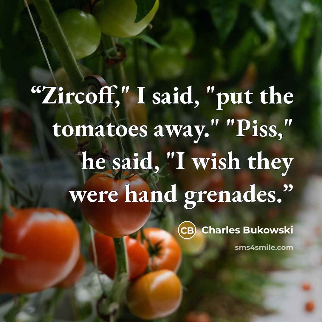 “Zircoff," I said, "put the tomatoes away." "Piss," he said, "I wish they were hand grenades.” quote by Charles Bukowski