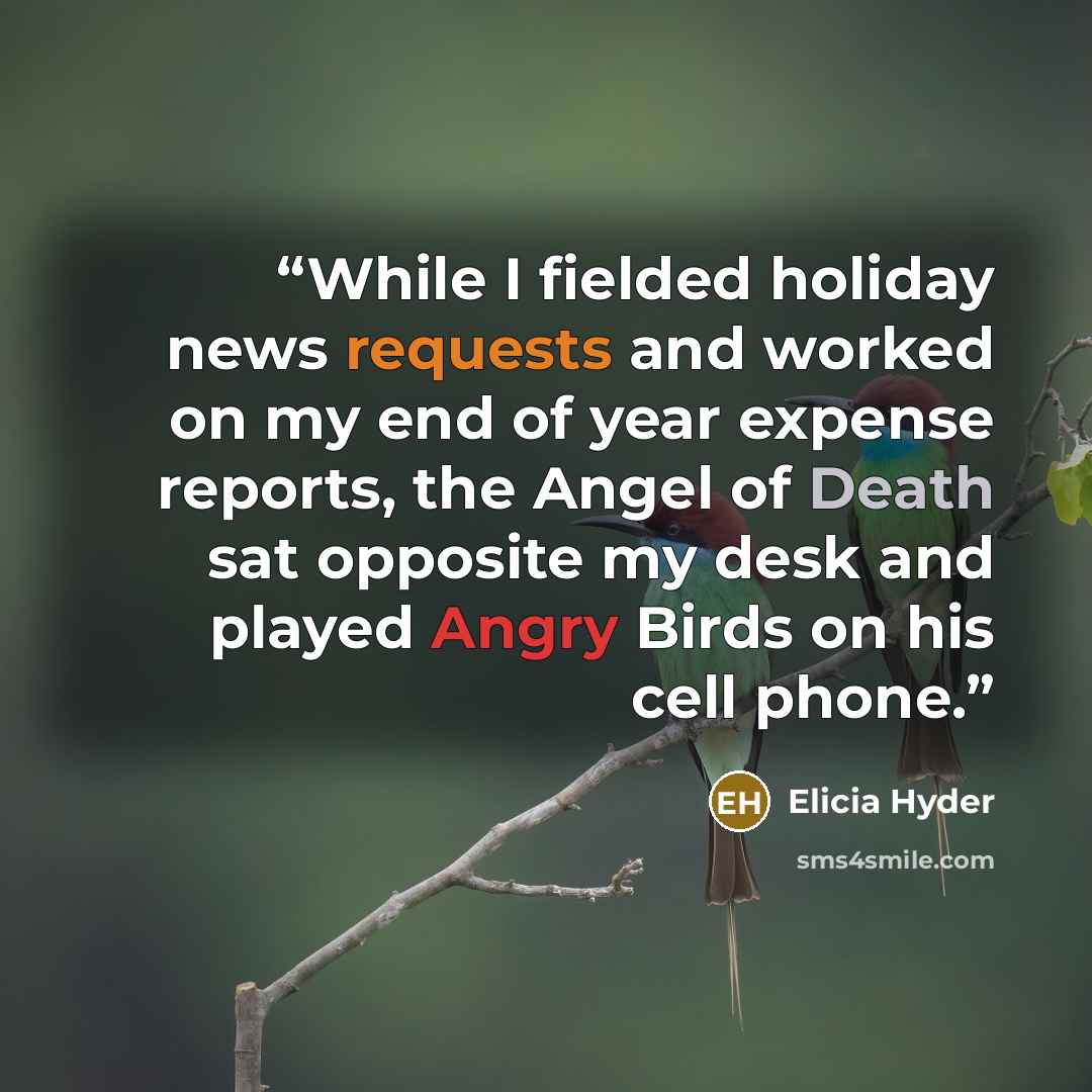 “While I fielded holiday news requests and worked on my end of year expense reports, the Angel of Death sat opposite my desk and played Angry Birds on his cell phone.” quote by Elicia Hyder