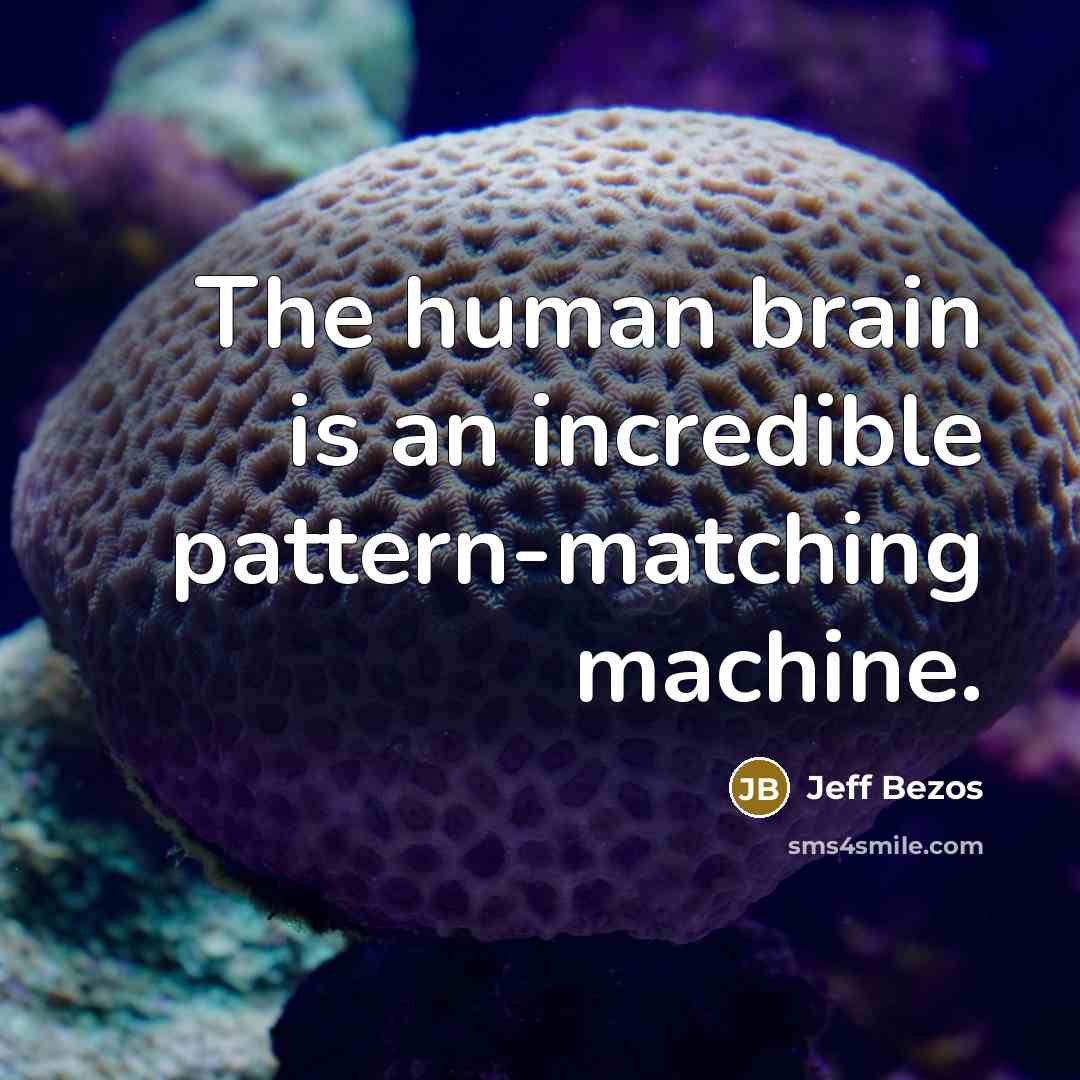 “The human brain is an incredible pattern-matching machine.” quote by Jeff Bezos