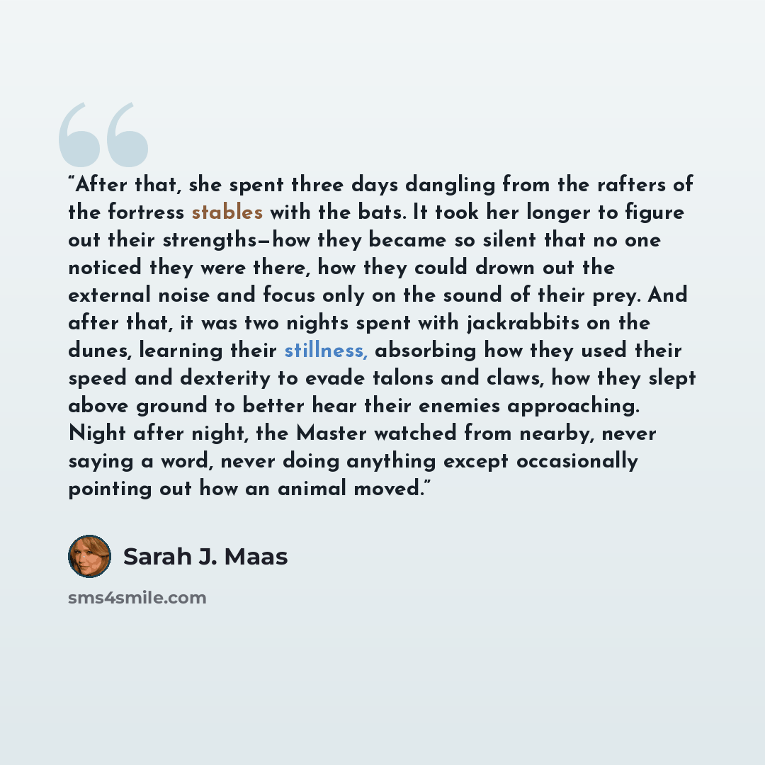 “After that, she spent three days dangling from the rafters of the fortress stables with the bats. It took her longer to figure out their strengths—how they became so silent that no one noticed they were there, how they could drown out the external noise and focus only on the sound of their prey…” quote by Sarah J. Maas