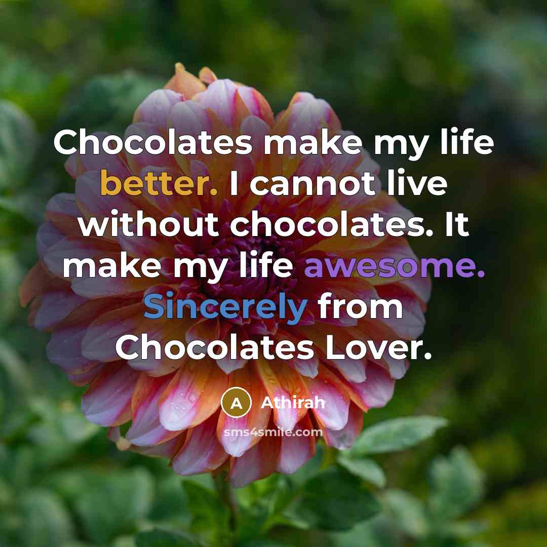 “Chocolates make my life better. I cannot live without chocolates. It make my life awesome. Sincerely from Chocolates Lover.” quote by Athirah