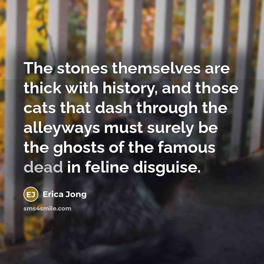“The stones themselves are thick with history, and those cats that dash through the alleyways must surely be the ghosts of the famous dead in feline disguise.” quote by Erica Jong