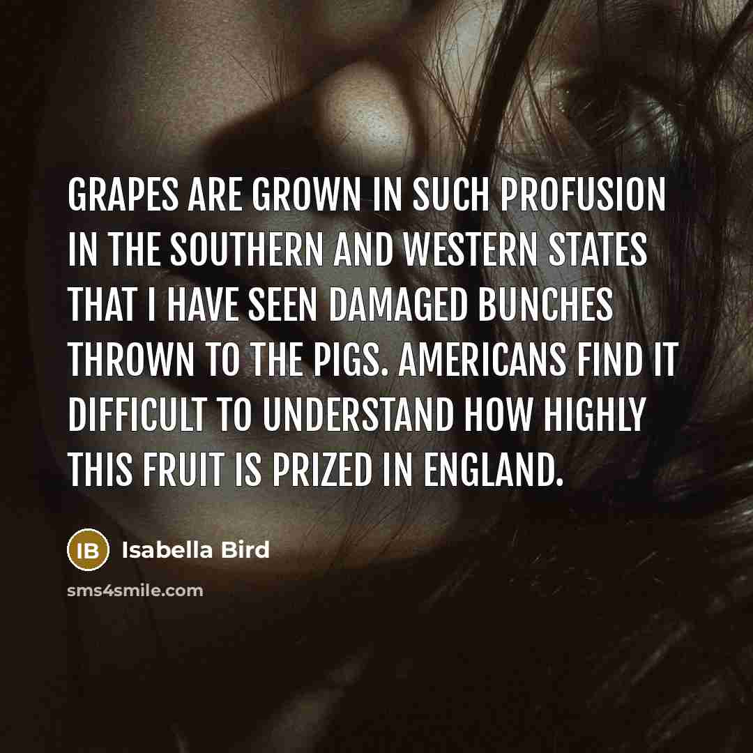 “Grapes are grown in such profusion in the Southern and Western States that I have seen damaged bunches thrown to the pigs. Americans find it difficult to understand how highly this fruit is prized in England.” quote by Isabella Bird