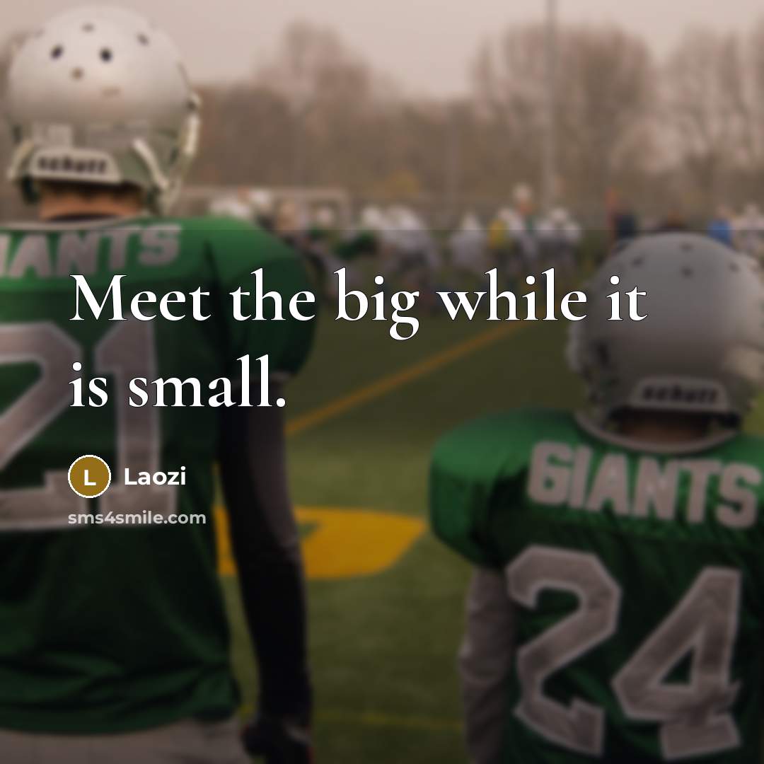 “Meet the big while it is small.” quote by Laozi