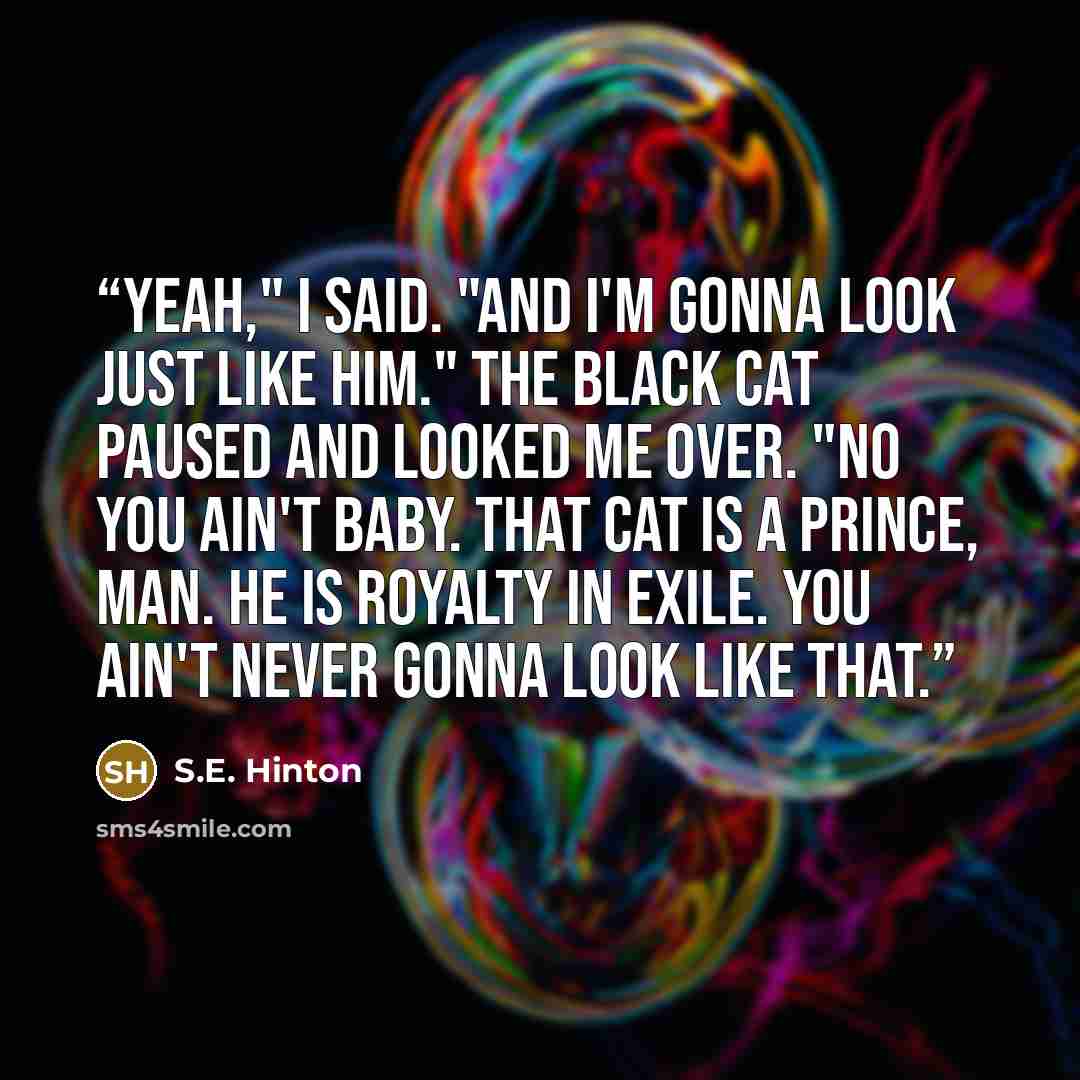 “Yeah," I said. "And I'm gonna look just like him." The black cat paused and looked me over. "No you ain't baby. That cat is a prince, man. He is royalty in exile. You ain't never gonna look like that.” quote by S.E. Hinton