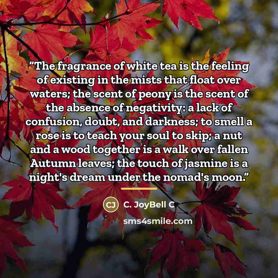 “The fragrance of white tea is the feeling of existing in the mists that float over waters; the scent of peony is the scent of the absence of negativity: a lack of confusion, doubt, and darkness; to smell a rose is to teach your soul to skip; a nut and a wood together is a walk over fallen Autumn…” quote by C. JoyBell C