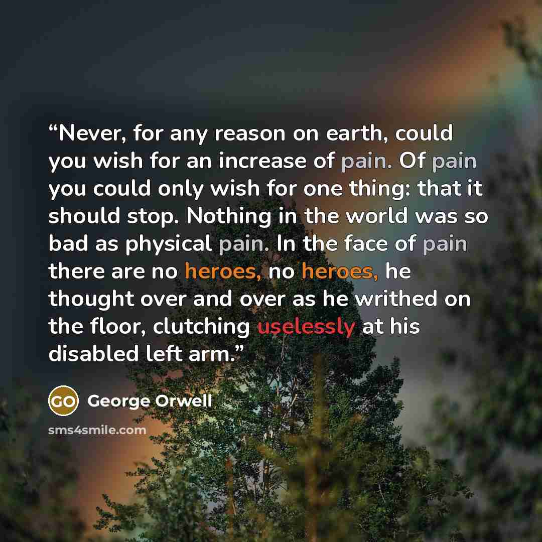 “Never, for any reason on earth, could you wish for an increase of pain. Of pain you could only wish for one thing: that it should stop. Nothing in the world was so bad as physical pain. In the face of pain there are no heroes, no heroes, he thought over and over as he writhed on the floor…” quote by George Orwell