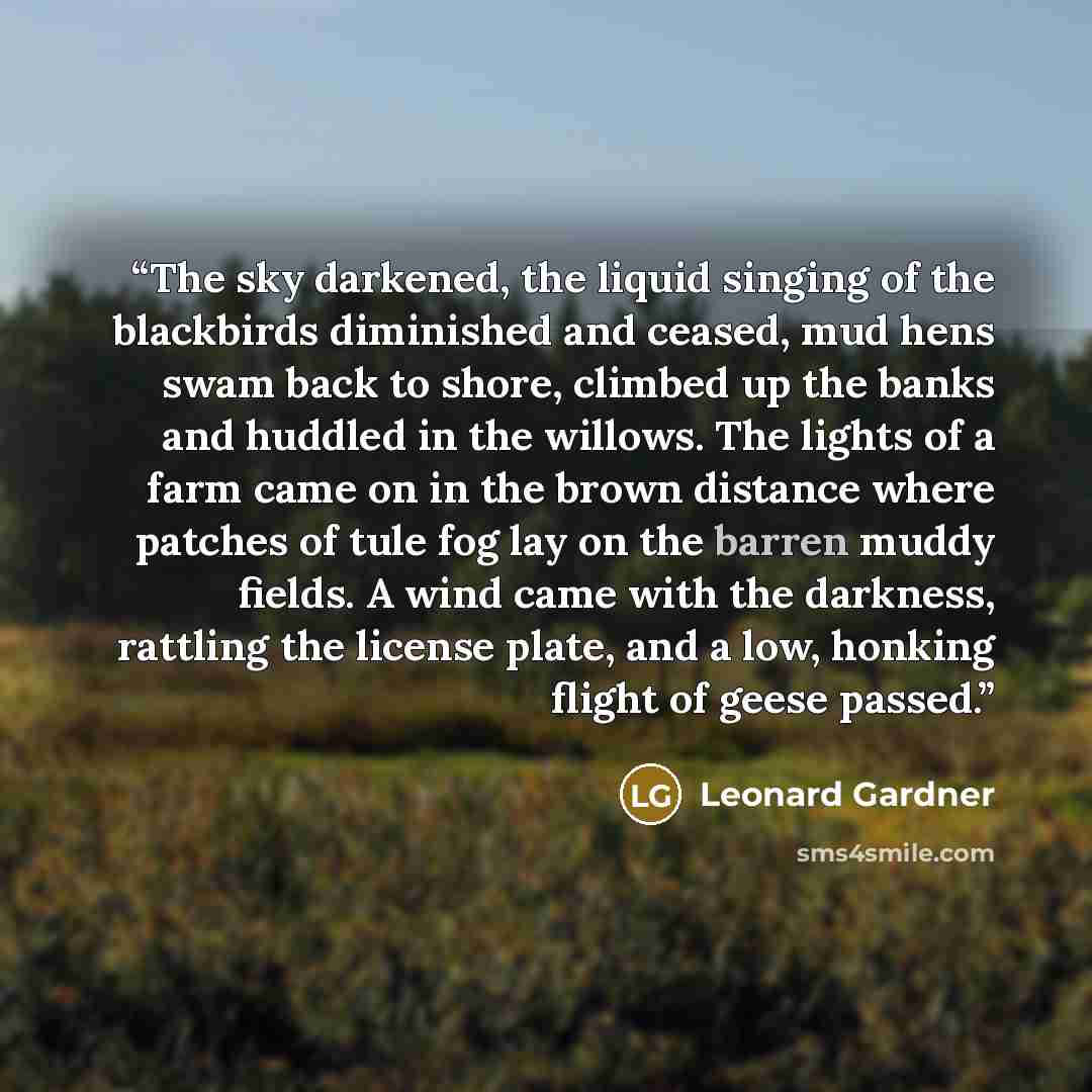 “The sky darkened, the liquid singing of the blackbirds diminished and ceased, mud hens swam back to shore, climbed up the banks and huddled in the willows. The lights of a farm came on in the brown distance where patches of tule fog lay on the barren muddy fields. A wind came with the darkness…” quote by Leonard Gardner