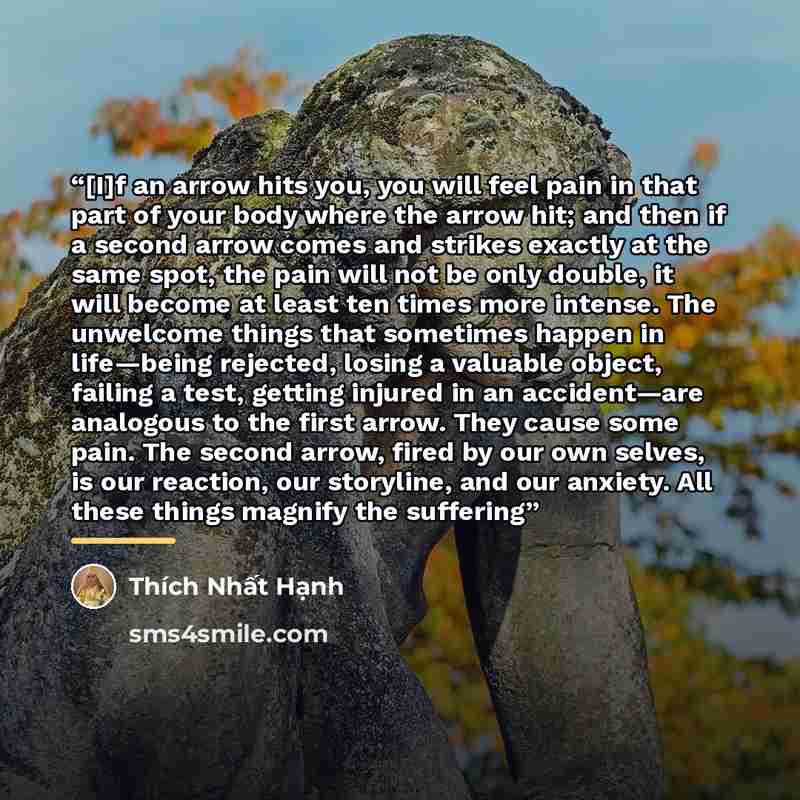 “[I]f an arrow hits you, you will feel pain in that part of your body where the arrow hit; and then if a second arrow comes and strikes exactly at the same spot, the pain will not be only double, it will become at least ten times more intense. The unwelcome things that sometimes happen in…” quote by Thich Nhat Hanh