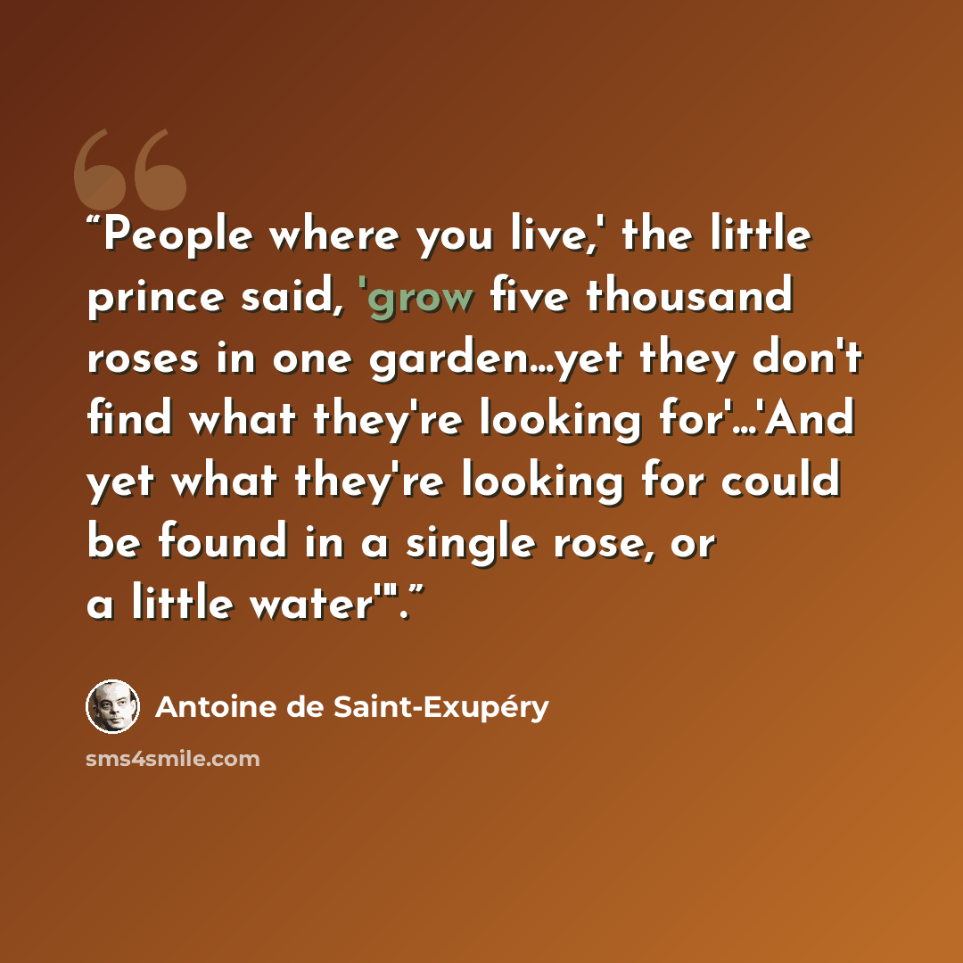 “People where you live,' the little prince said, 'grow five thousand roses in one garden...yet they don't find what they're looking for'...'And yet what they're looking for could be found in a single rose, or a little water'".” quote by Antoine de Saint-Exupéry