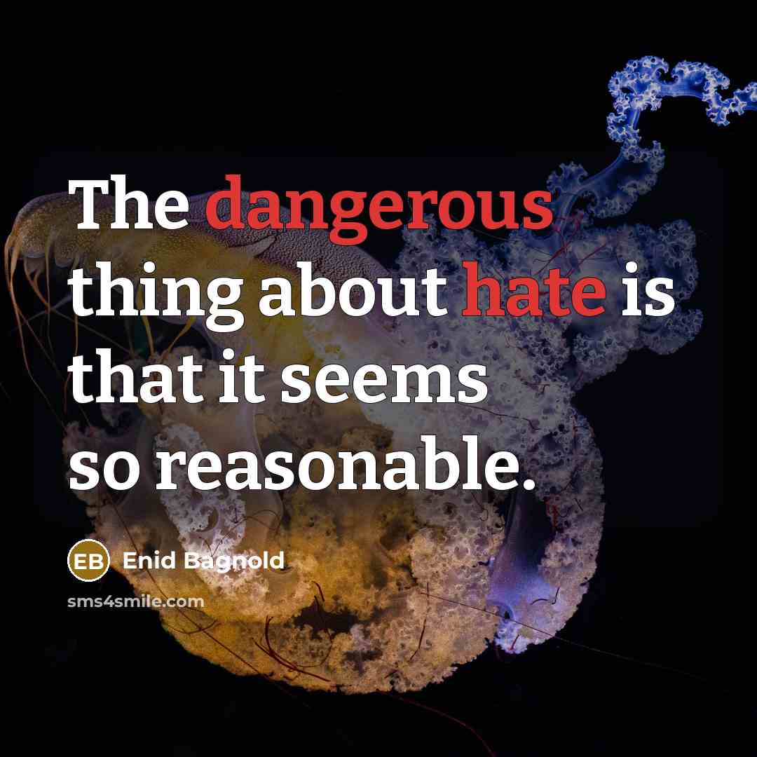 “The dangerous thing about hate is that it seems so reasonable.” quote by Enid Bagnold