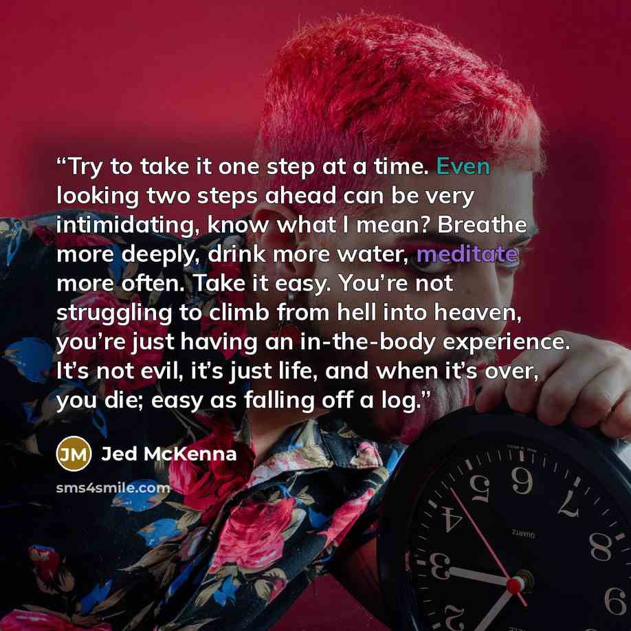 “Try to take it one step at a time. Even looking two steps ahead can be very intimidating, know what I mean? Breathe more deeply, drink more water, meditate more often. Take it easy. You’re not struggling to climb from hell into heaven, you’re just having an in-the-body experience. It’s not evil…” quote by Jed McKenna
