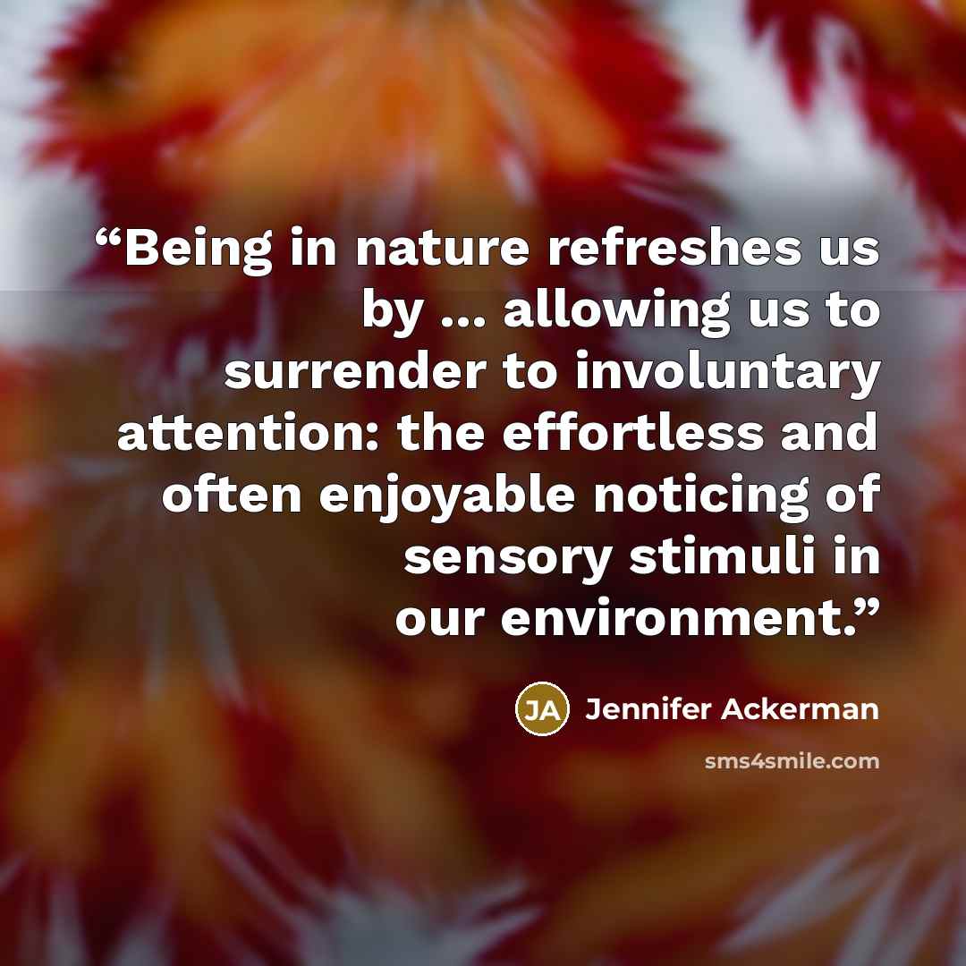 “Being in nature refreshes us by ... allowing us to surrender to involuntary attention: the effortless and often enjoyable noticing of sensory stimuli in our environment.” quote by Jennifer Ackerman