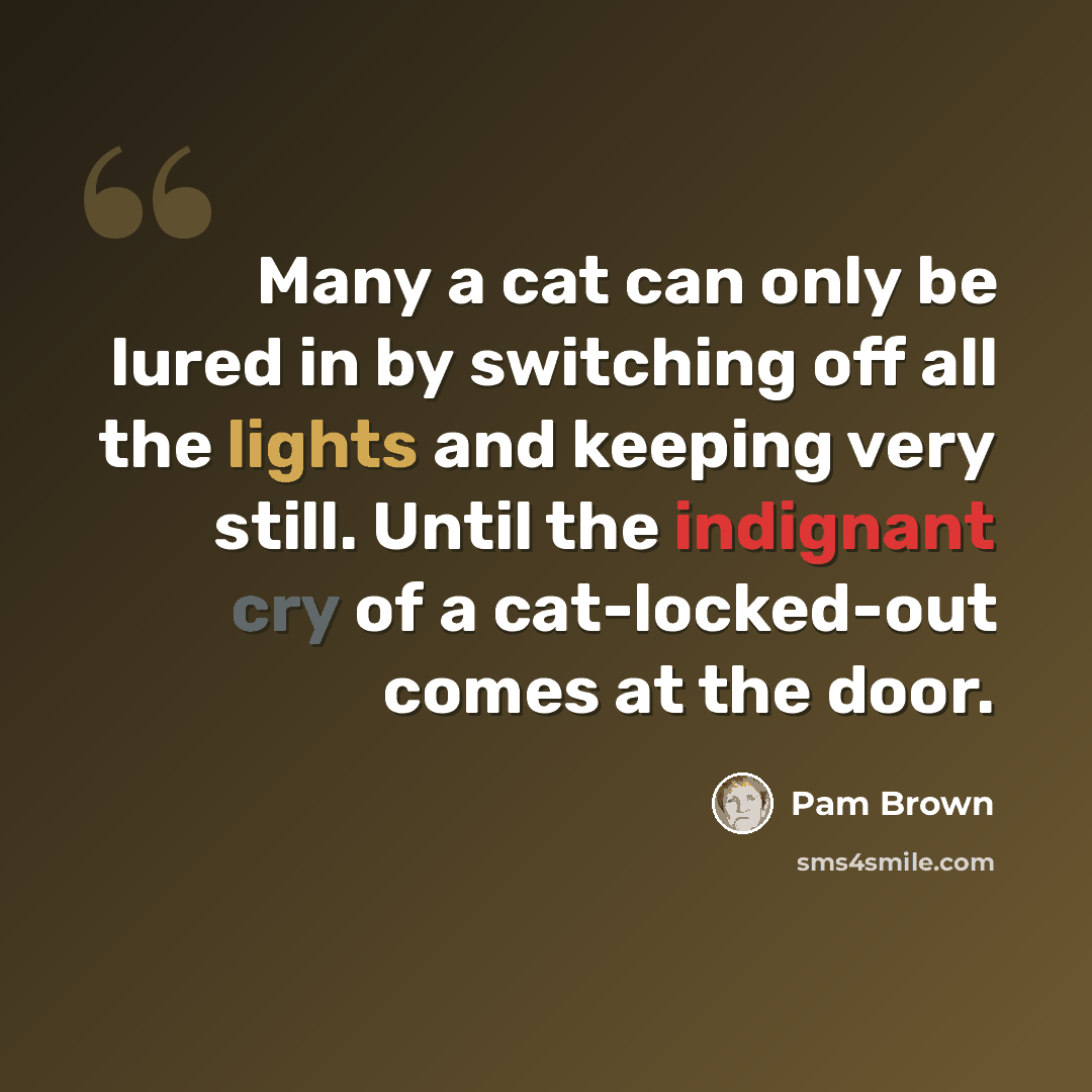 “Many a cat can only be lured in by switching off all the lights and keeping very still. Until the indignant cry of a cat-locked-out comes at the door.” quote by Pam Brown