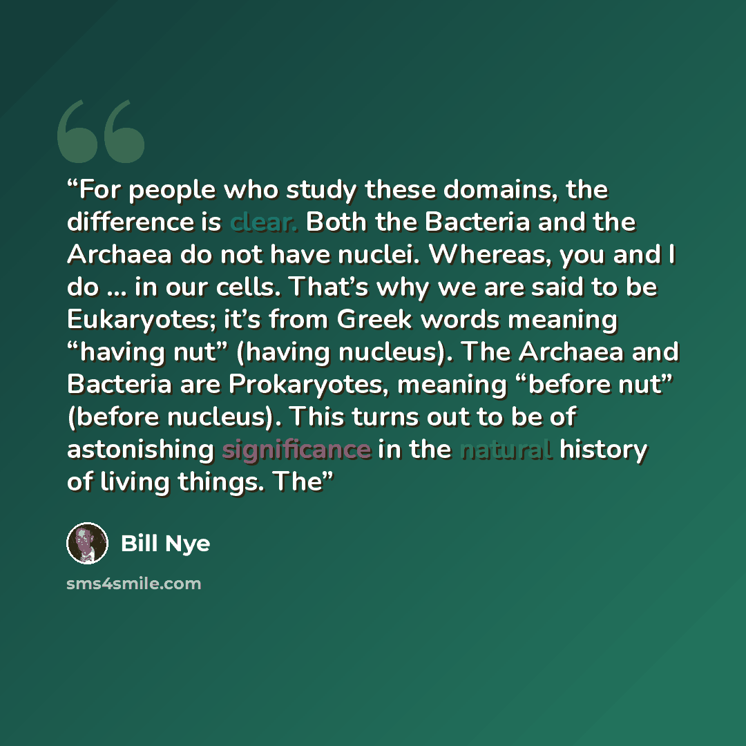 “For people who study these domains, the difference is clear. Both the Bacteria and the Archaea do not have nuclei. Whereas, you and I do … in our cells. That’s why we are said to be Eukaryotes; it’s from Greek words meaning “having nut” (having nucleus). The Archaea and Bacteria are Prokaryotes…” quote by Bill Nye