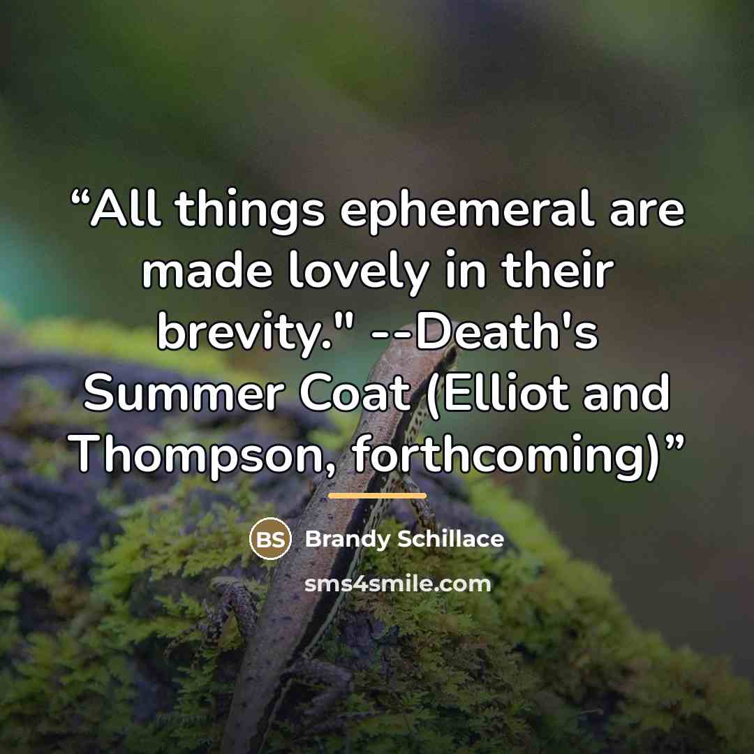 “All things ephemeral are made lovely in their brevity." --Death's Summer Coat (Elliot and Thompson, forthcoming)” quote by Brandy Schillace