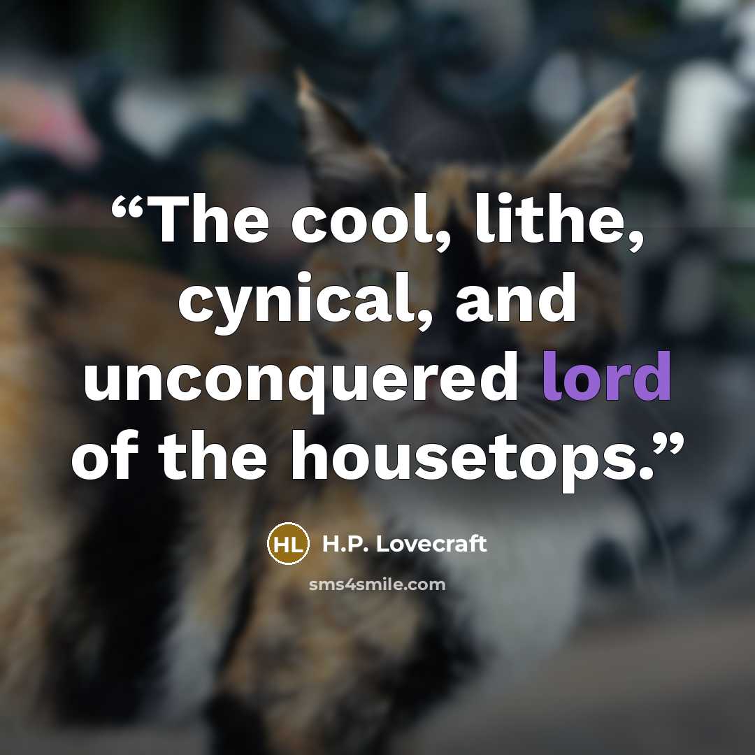 “The cool, lithe, cynical, and unconquered lord of the housetops.” quote by H.P. Lovecraft