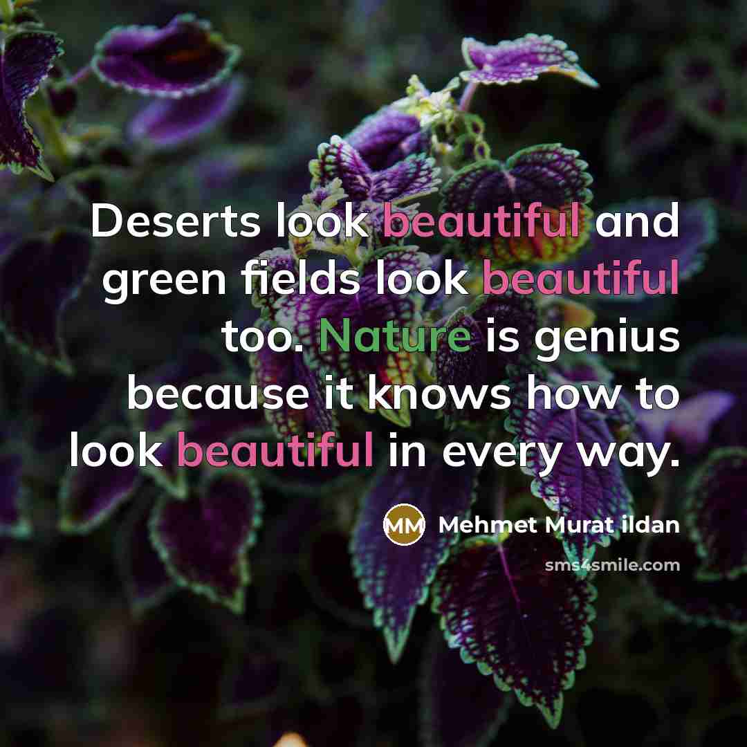 “Deserts look beautiful and green fields look beautiful too. Nature is genius because it knows how to look beautiful in every way.” quote by Mehmet Murat Ildan