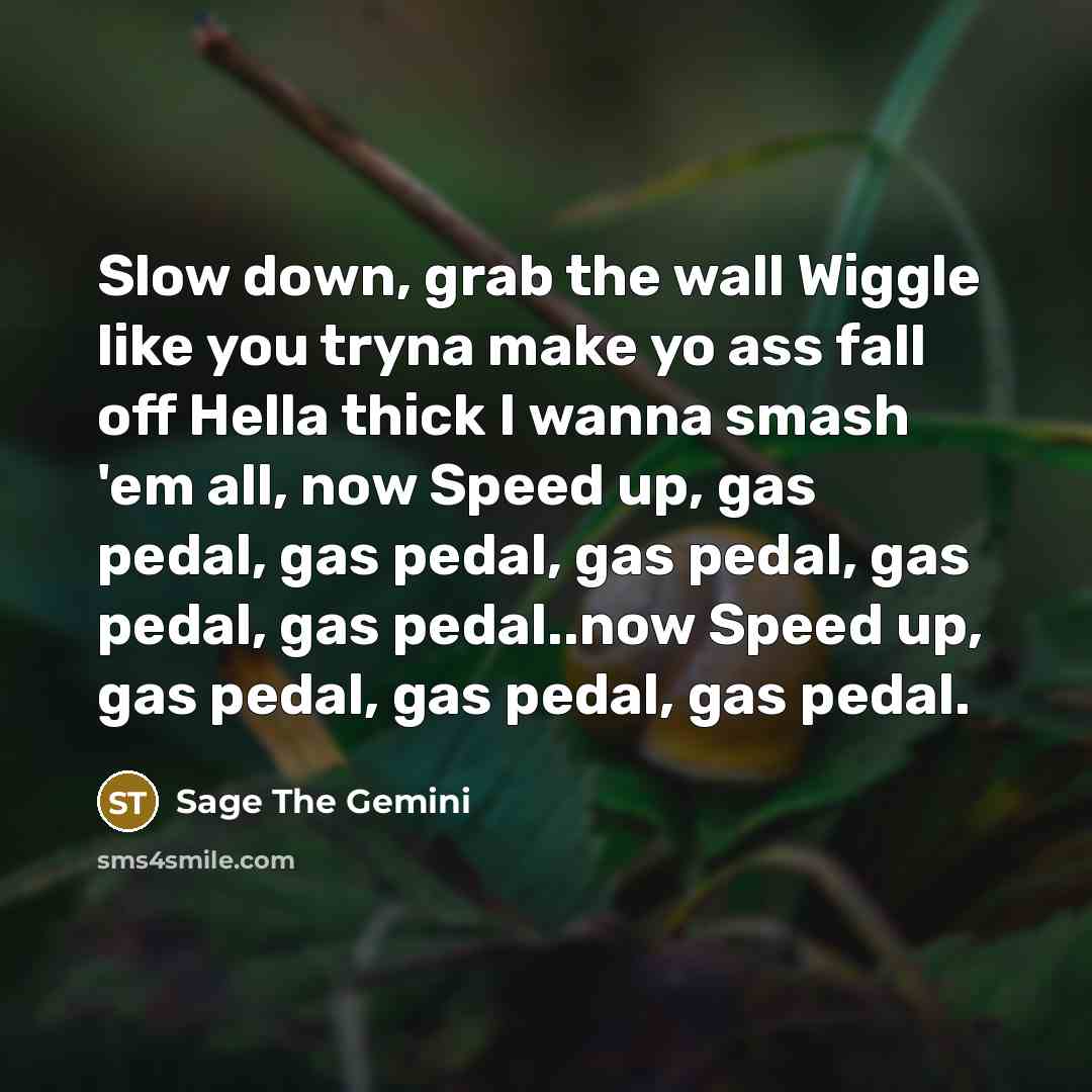 “Slow down, grab the wall Wiggle like you tryna make yo ass fall off Hella thick I wanna smash 'em all, now Speed up, gas pedal, gas pedal, gas pedal, gas pedal, gas pedal..now Speed up, gas pedal, gas pedal, gas pedal.” quote by Sage The Gemini