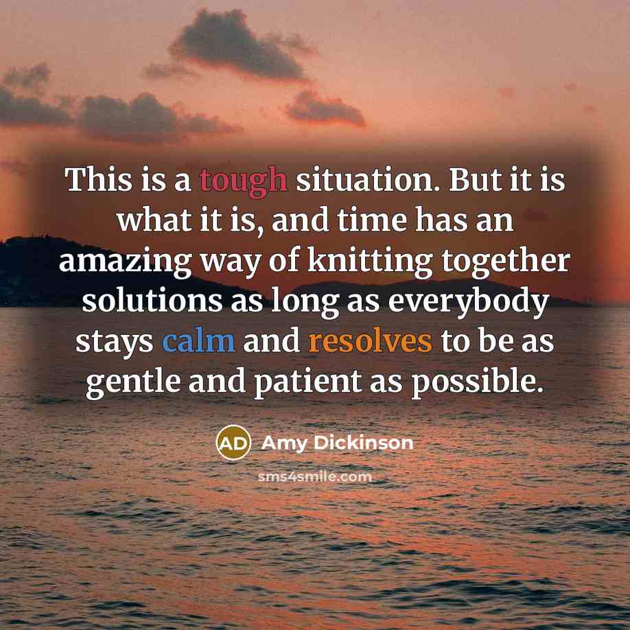 “This is a tough situation. But it is what it is, and time has an amazing way of knitting together solutions as long as everybody stays calm and resolves to be as gentle and patient as possible.” quote by Amy Dickinson