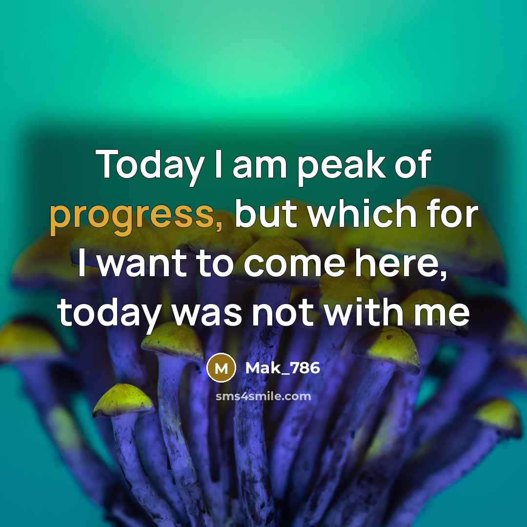 “Today I am peak of progress, but which for I want to come here, today was not with me” quote by Mak_786