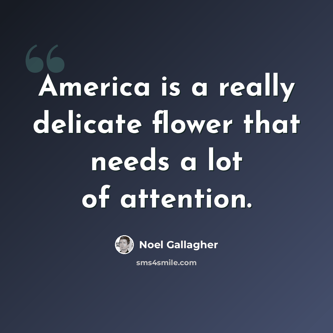 “America is a really delicate flower that needs a lot of attention.” quote by Noel Gallagher