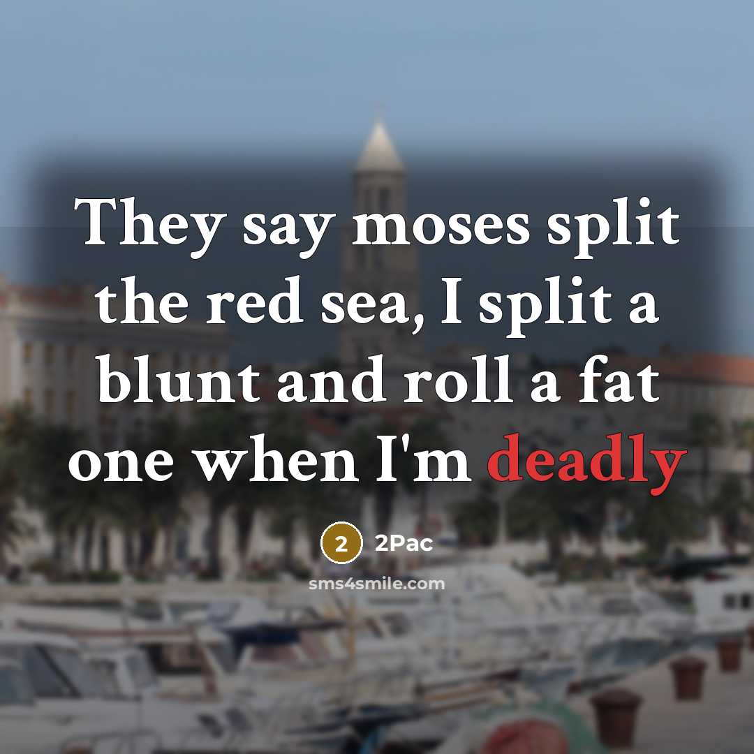 “They say moses split the red sea, I split a blunt and roll a fat one when I'm deadly” quote by 2pac