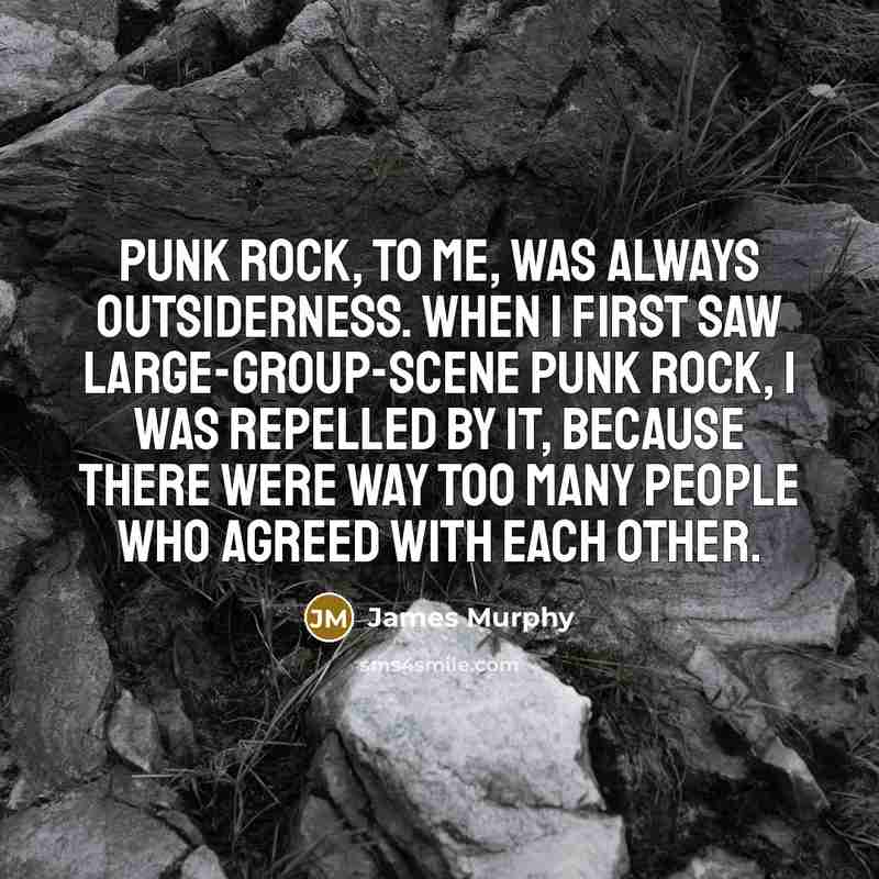 “Punk rock, to me, was always outsiderness. When I first saw large-group-scene punk rock, I was repelled by it, because there were way too many people who agreed with each other.” quote by James Murphy